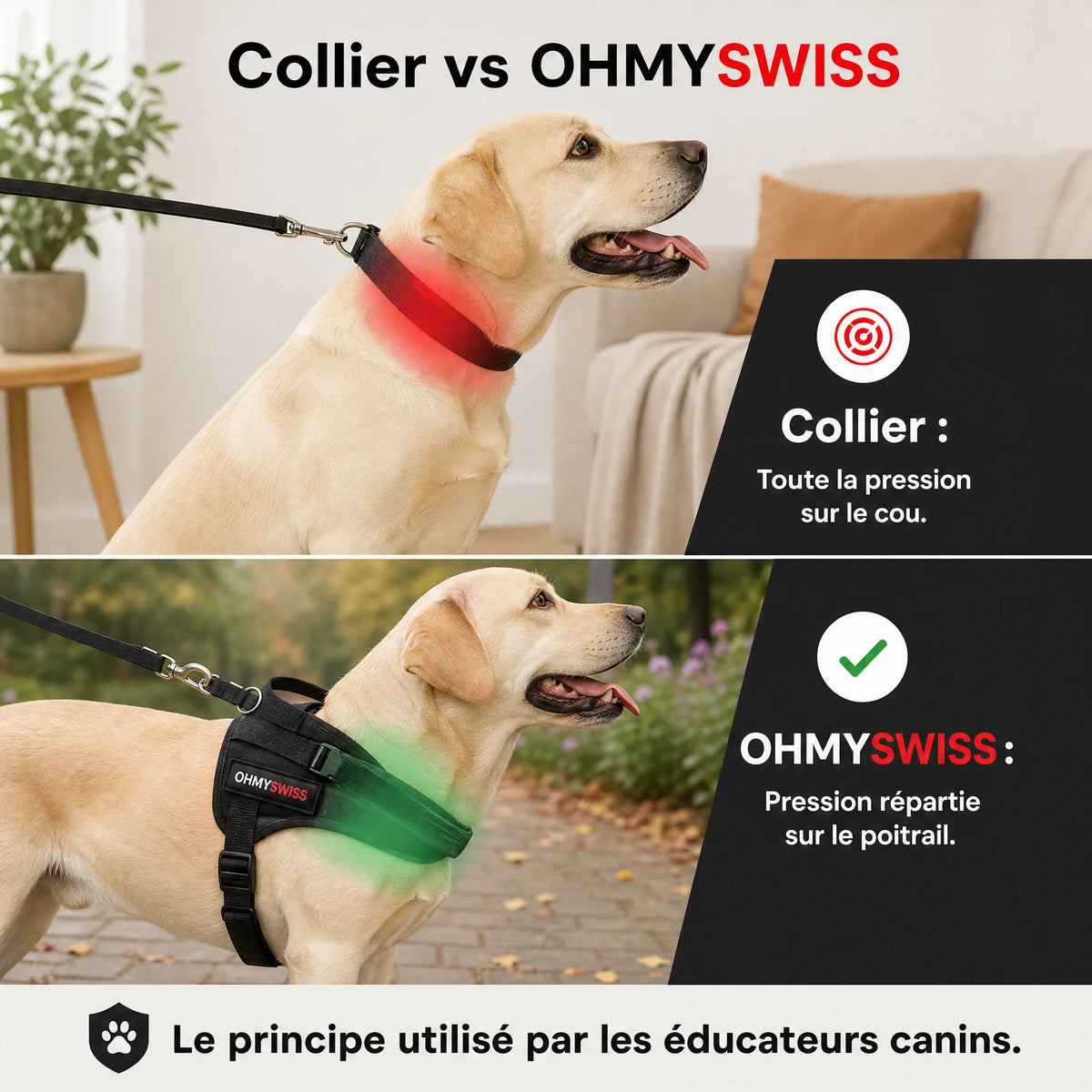 Anti-Zug-Geschirr „Comfort+“ von OHMYSWISS