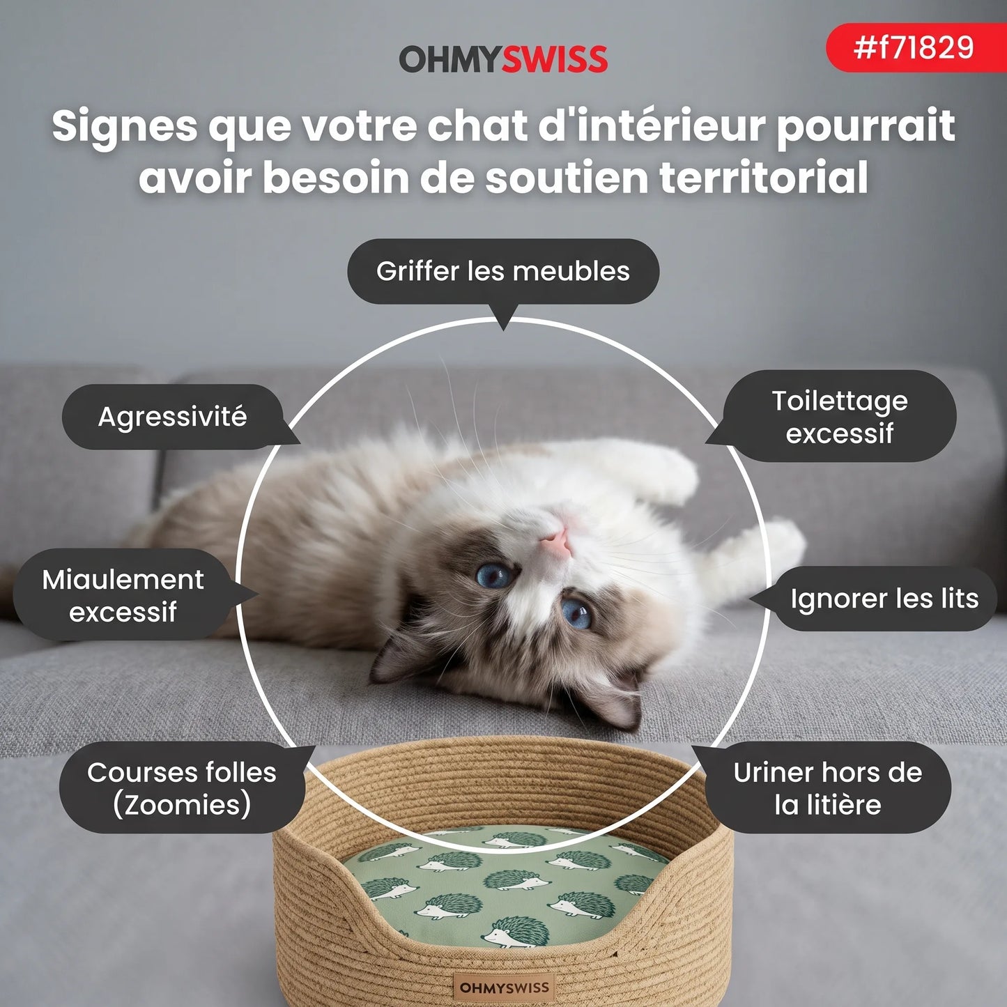 OHMYSWISS „Instinct“-Korb aus geflochtenem Seil für Katzen