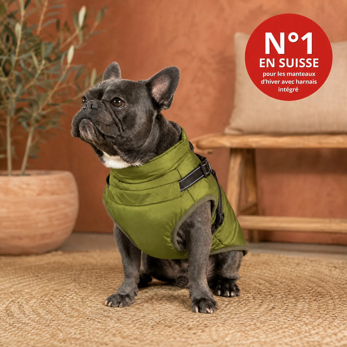 Wasserdichter 3-in-1-Hundemantel mit integriertem Geschirr von OHMYSWISS