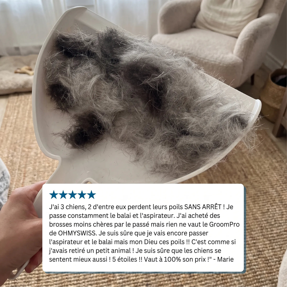 Brosse Anti-Mue Pro OHMYSWISS
