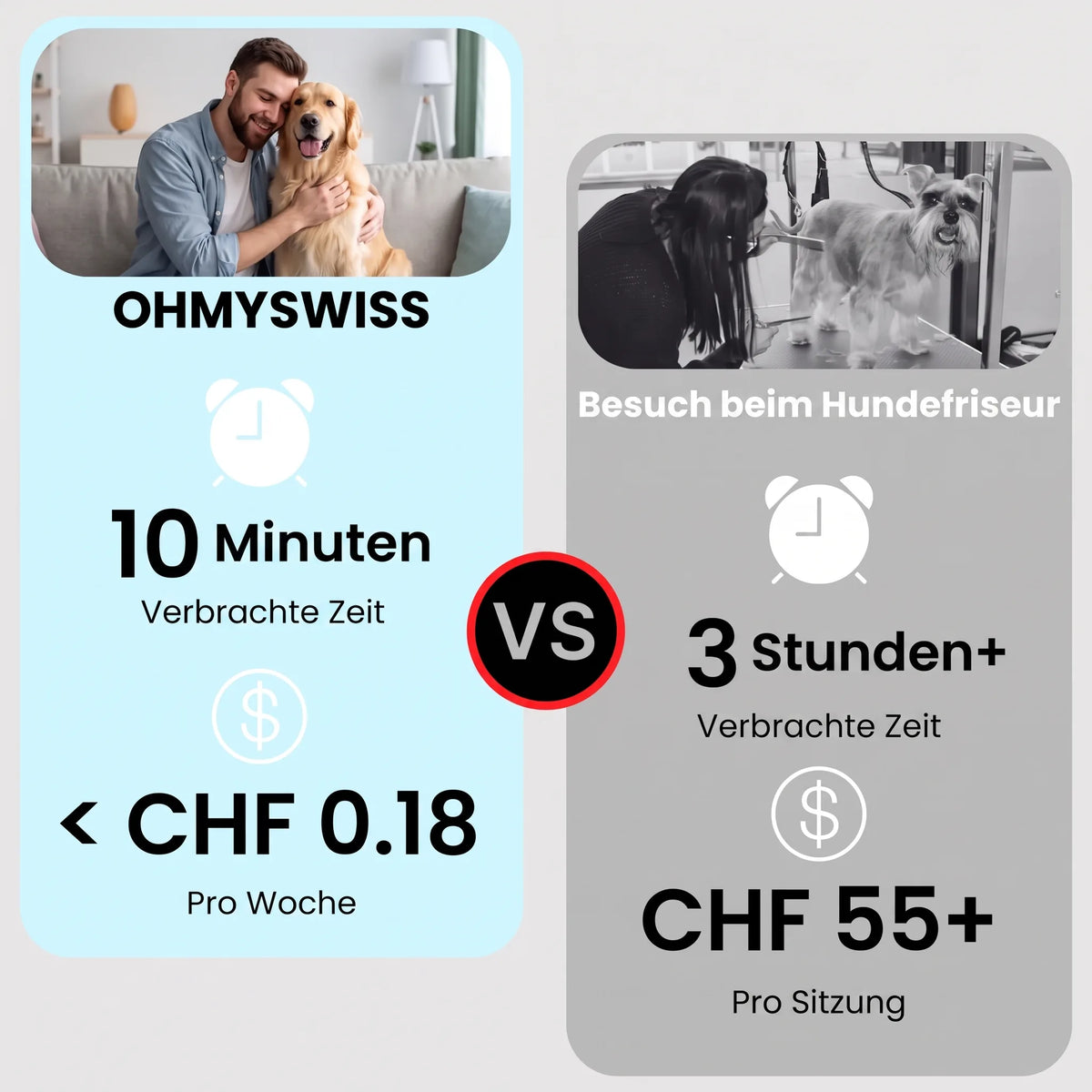 Anti-Haarverlust-Bürste Pro OHMYSWISS