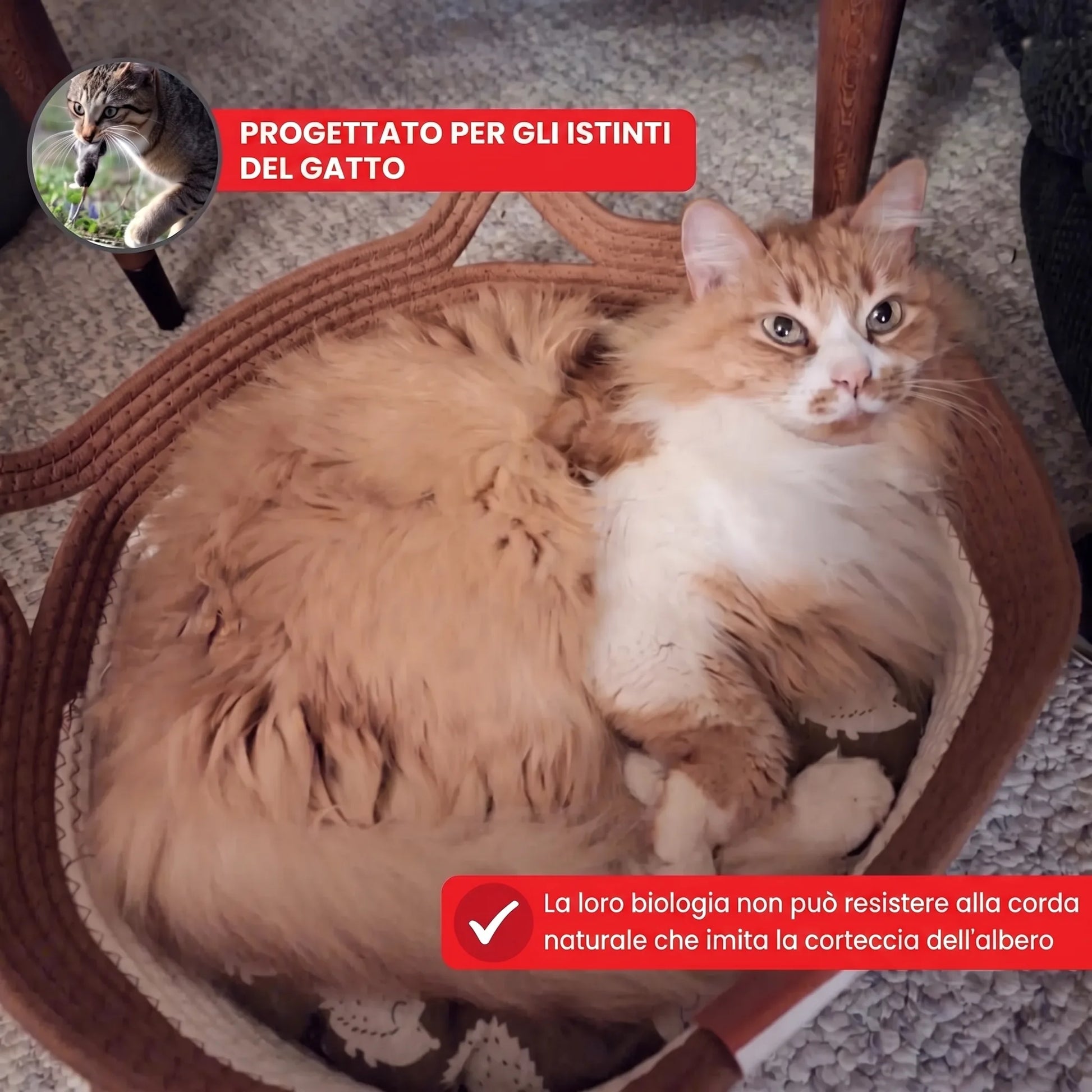 Cuccia Instinct in corda intrecciata per gatti OHMYSWISS