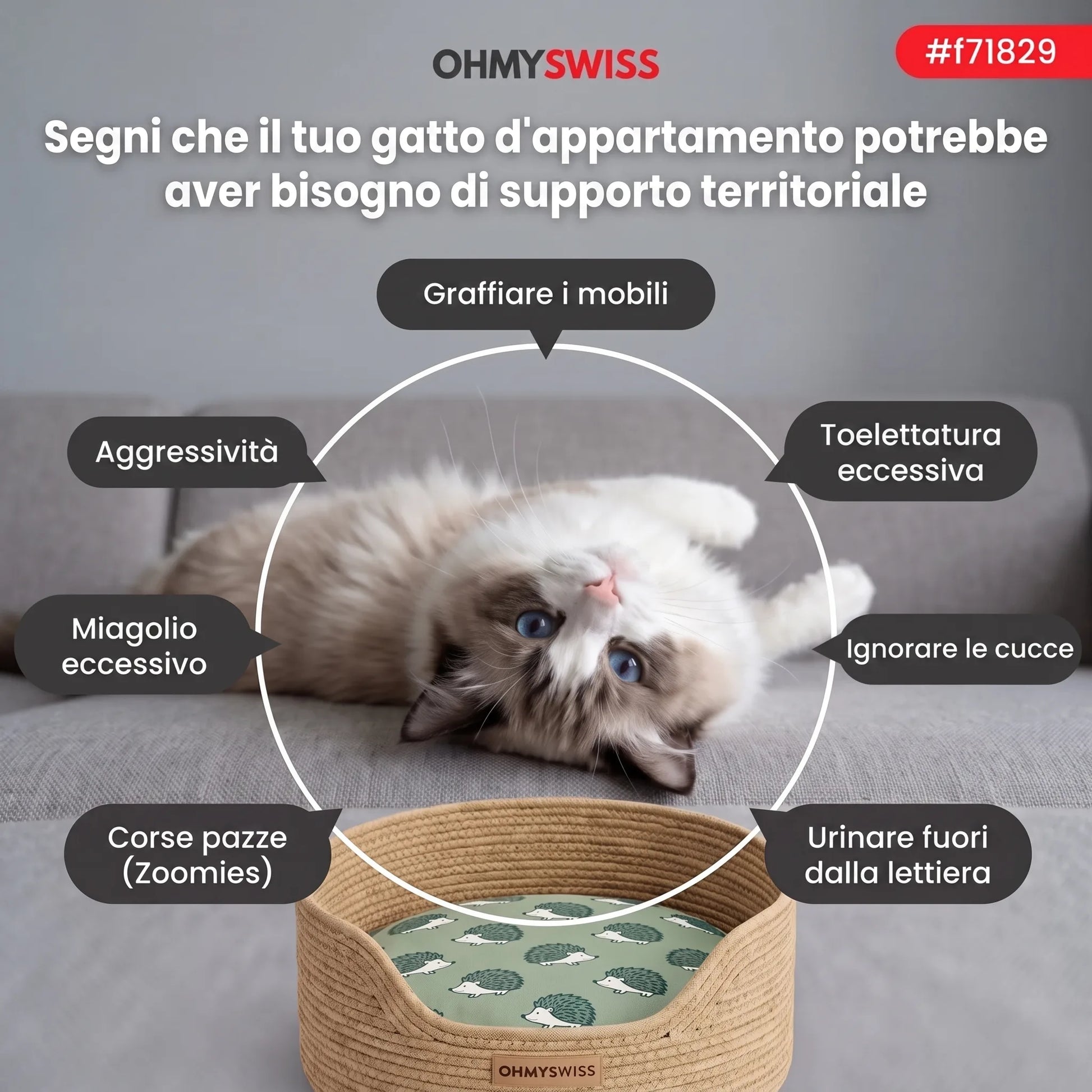 Cuccia Instinct in corda intrecciata per gatti OHMYSWISS