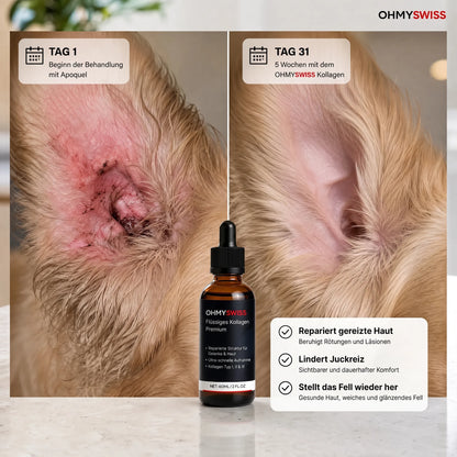 Collagene liquido Premium per cani OHMYSWISS