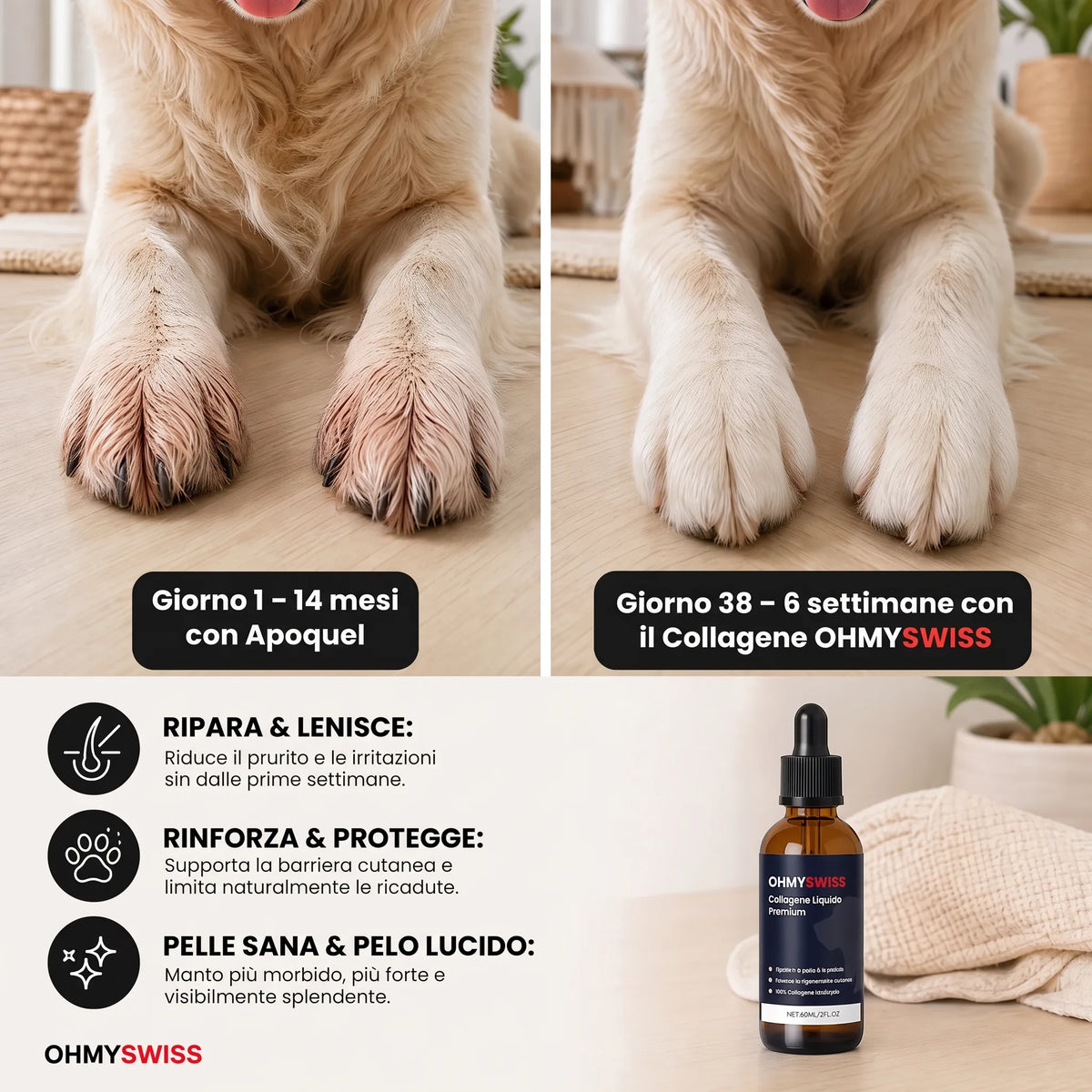 Collagene liquido premium per cani OHMYSWISS