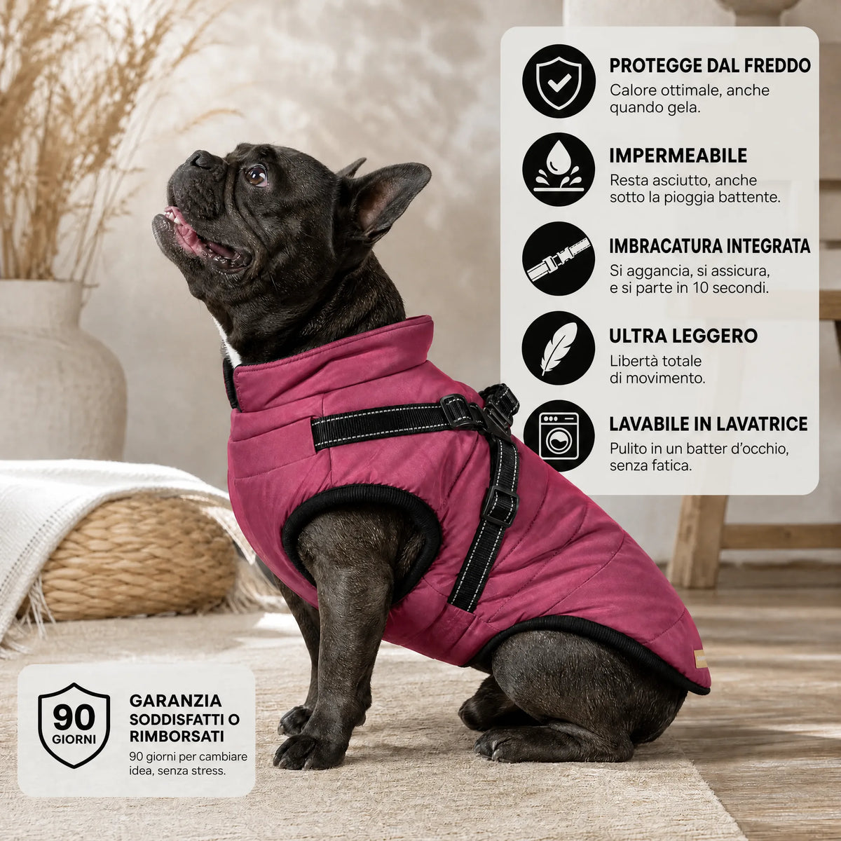 Wasserdichter 3-in-1-Hundemantel mit integriertem Geschirr von OHMYSWISS