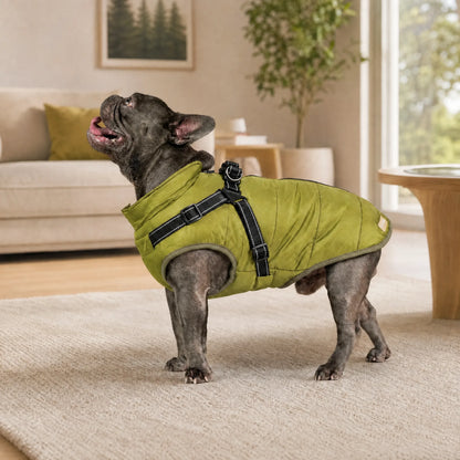 Cappotto per cani 3 in 1 impermeabile con pettorina integrata OHMYSWISS