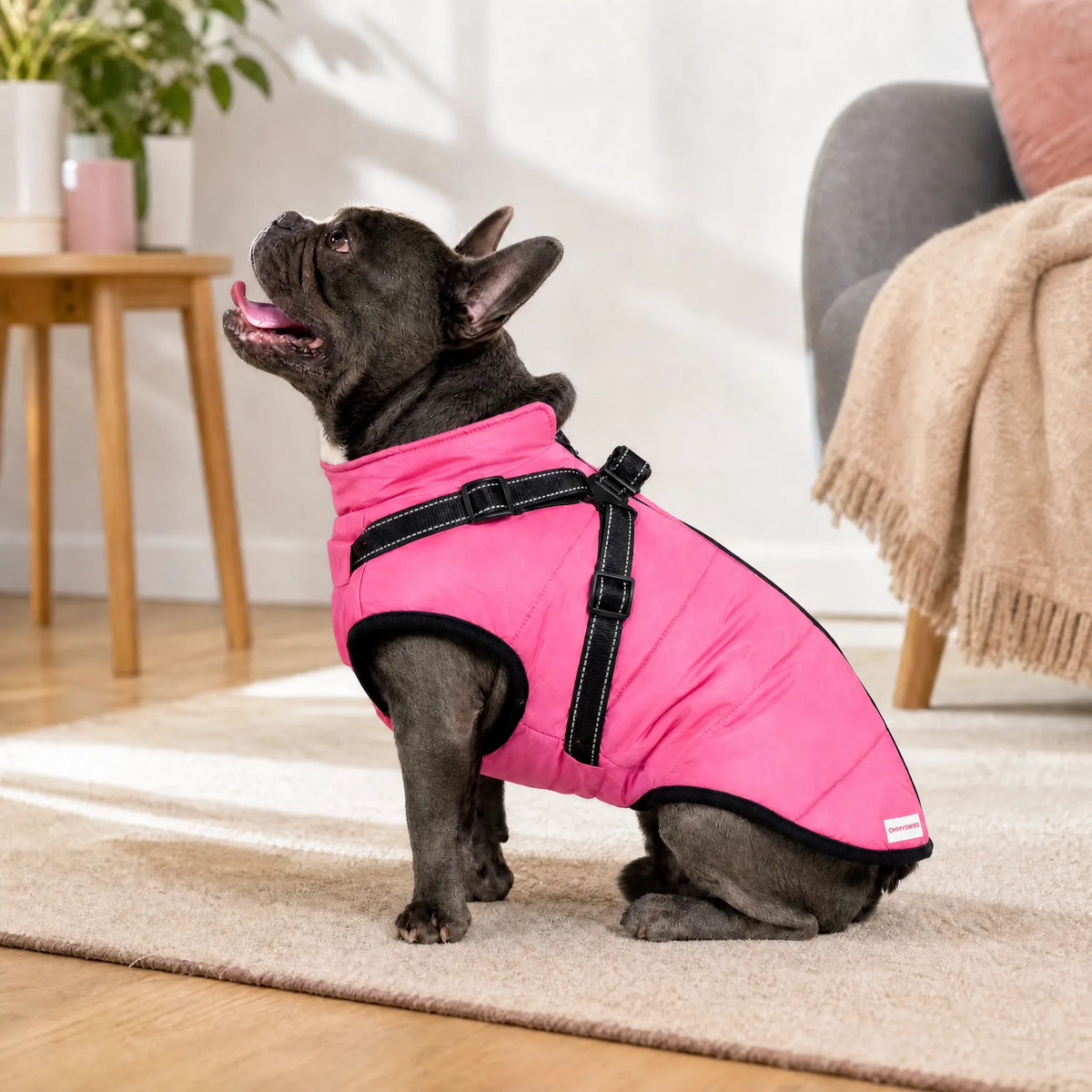 Wasserdichter 3-in-1-Hundemantel mit integriertem Geschirr von OHMYSWISS