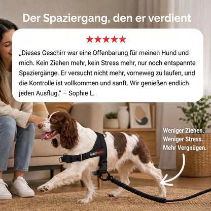 Servizio da tavola Anti-Zug Comfort+ OHMYSWISS