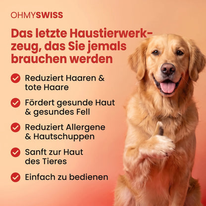 Anti-Haarverlust-Bürste Pro OHMYSWISS