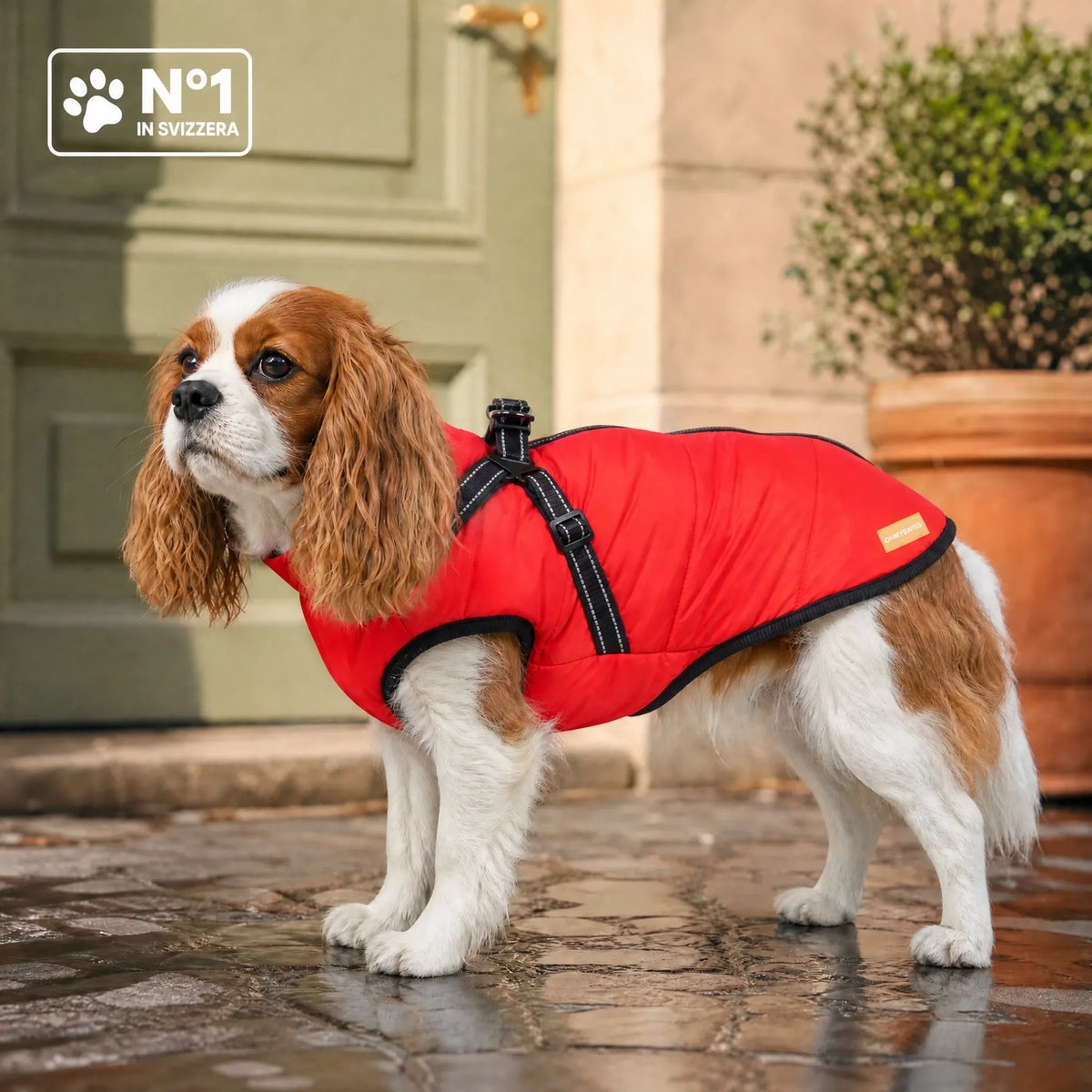 Wasserdichter 3-in-1-Hundemantel mit integriertem Geschirr von OHMYSWISS