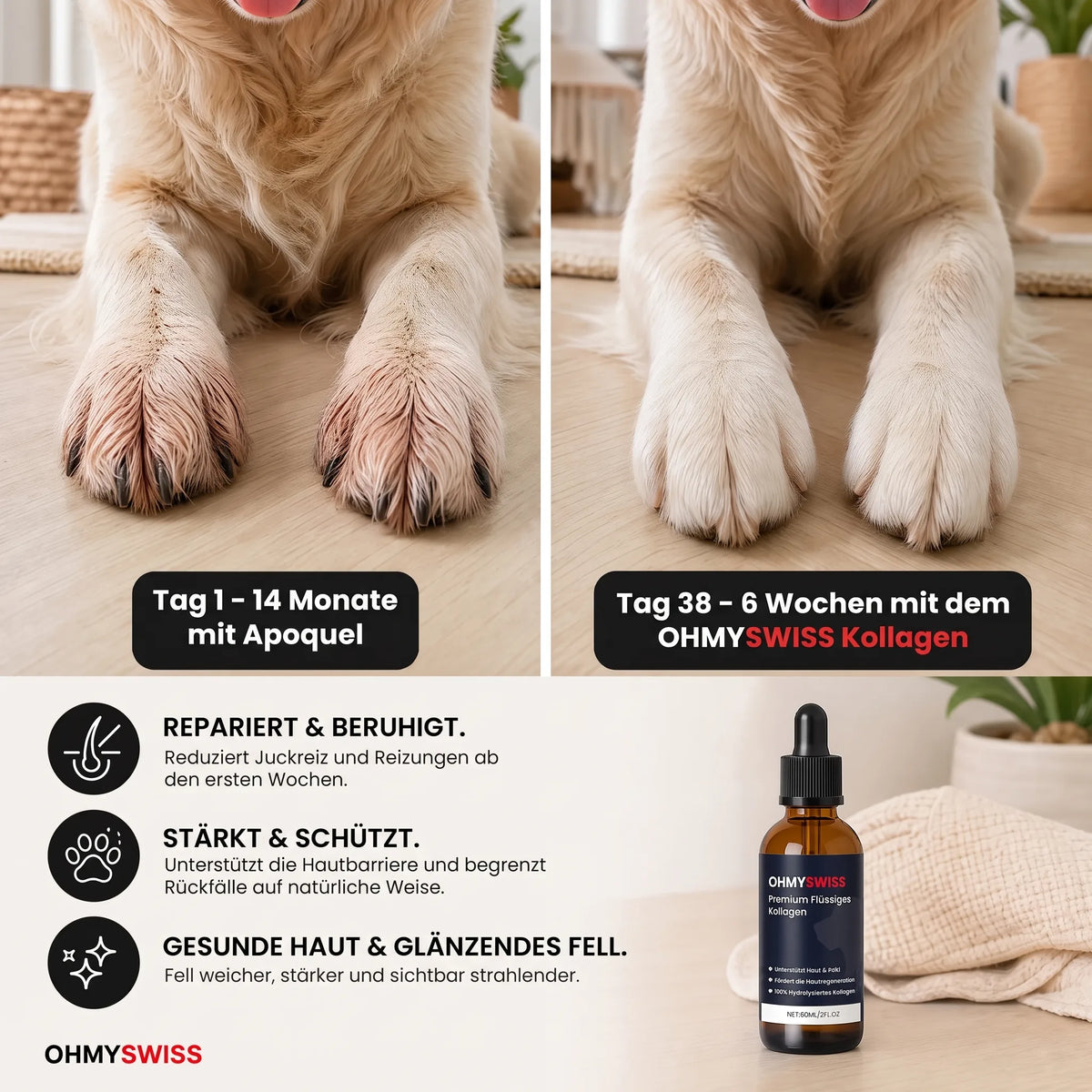 Collagene liquido Premium per cani OHMYSWISS
