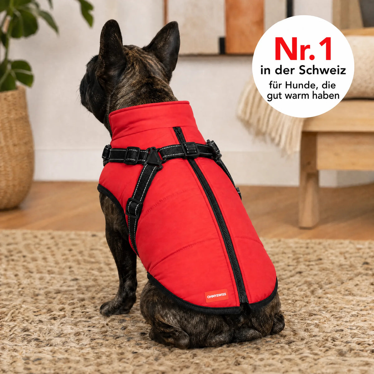 Cappotto per cani 3 in 1 impermeabile con pettorina integrata OHMYSWISS