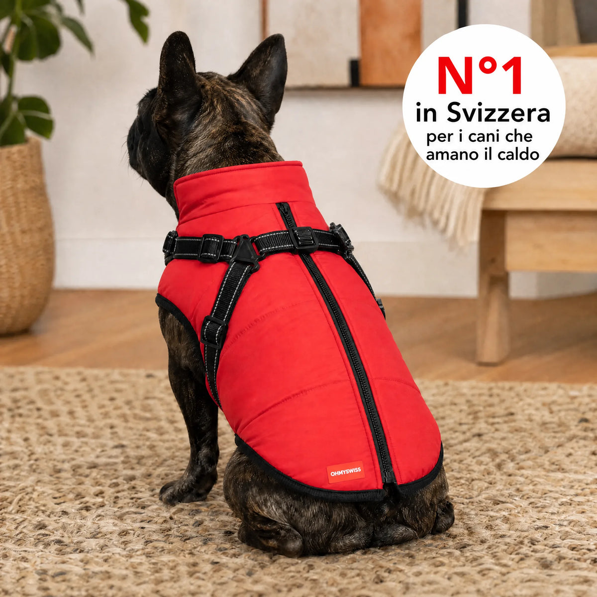 Wasserdichter 3-in-1-Hundemantel mit integriertem Geschirr von OHMYSWISS