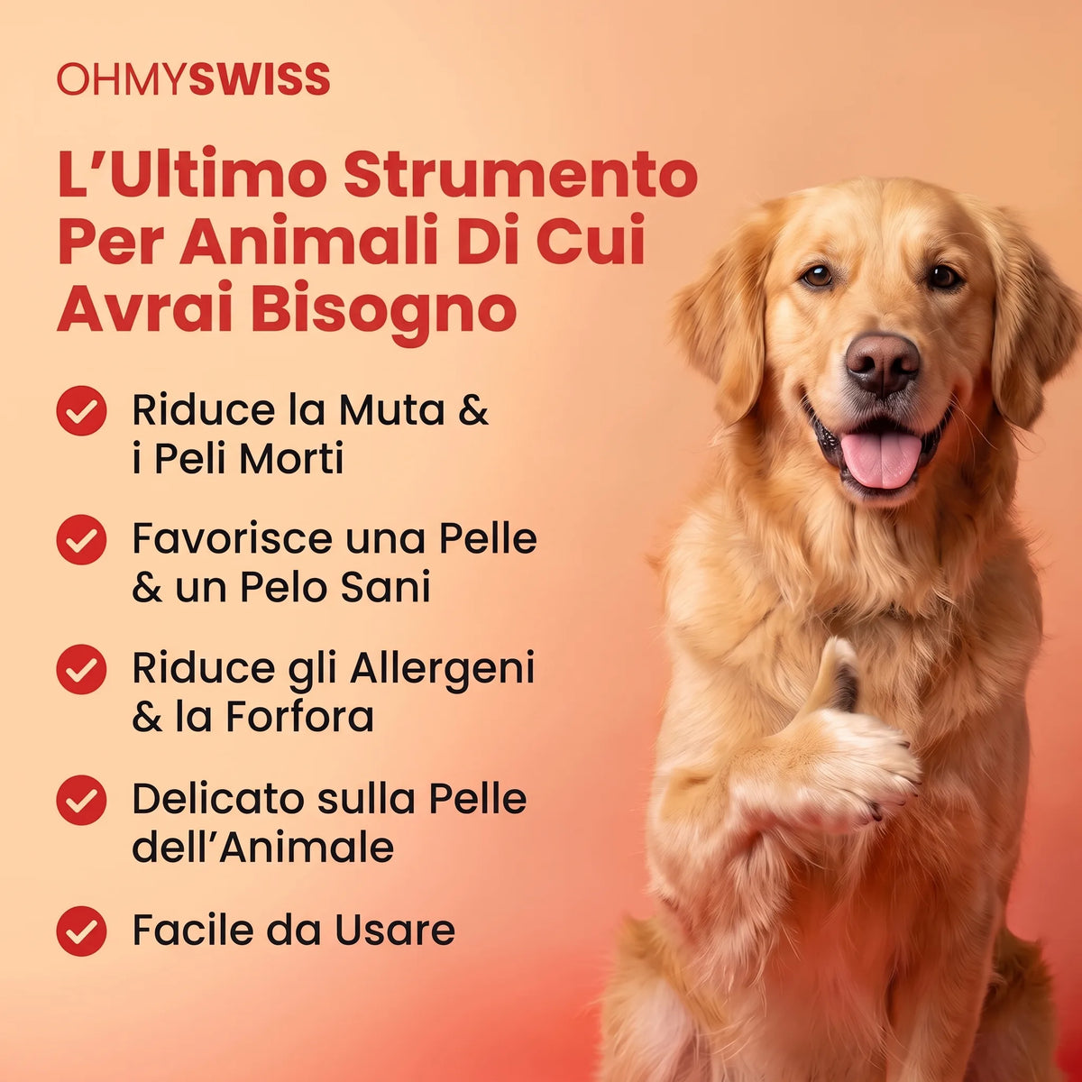 Spazzola Anti-Muta Pro OHMYSWISS