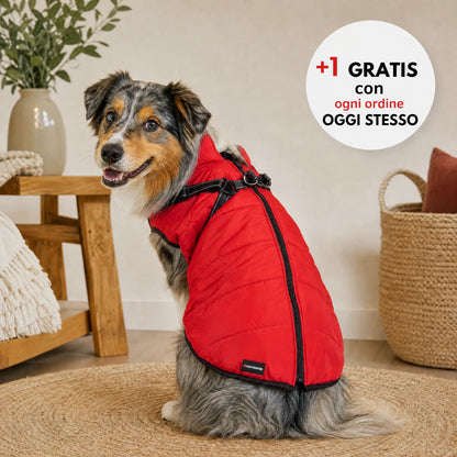 Wasserdichter 3-in-1-Hundemantel mit integriertem Geschirr von OHMYSWISS