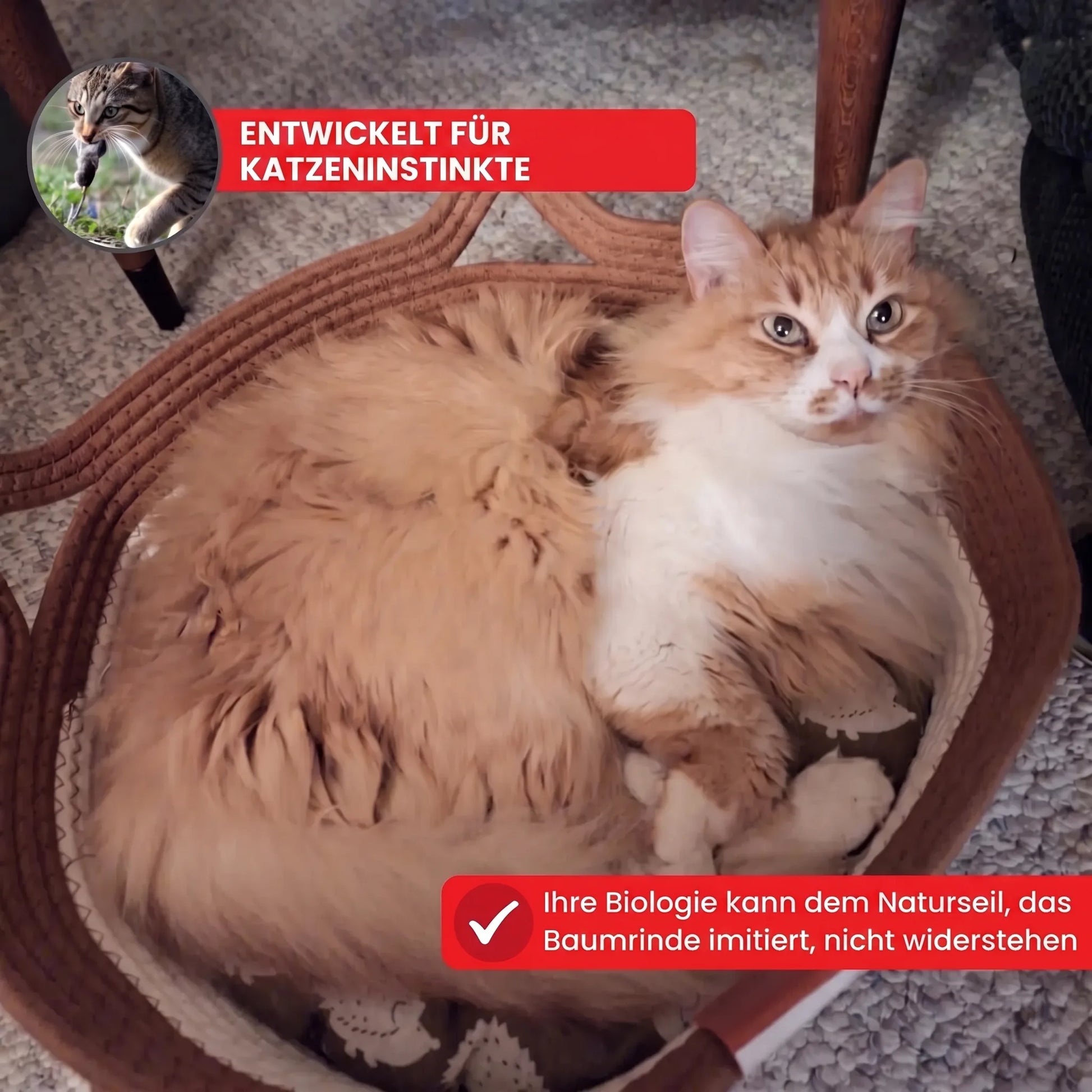 Lettino per gatti Instinct in corda intrecciata OHMYSWISS