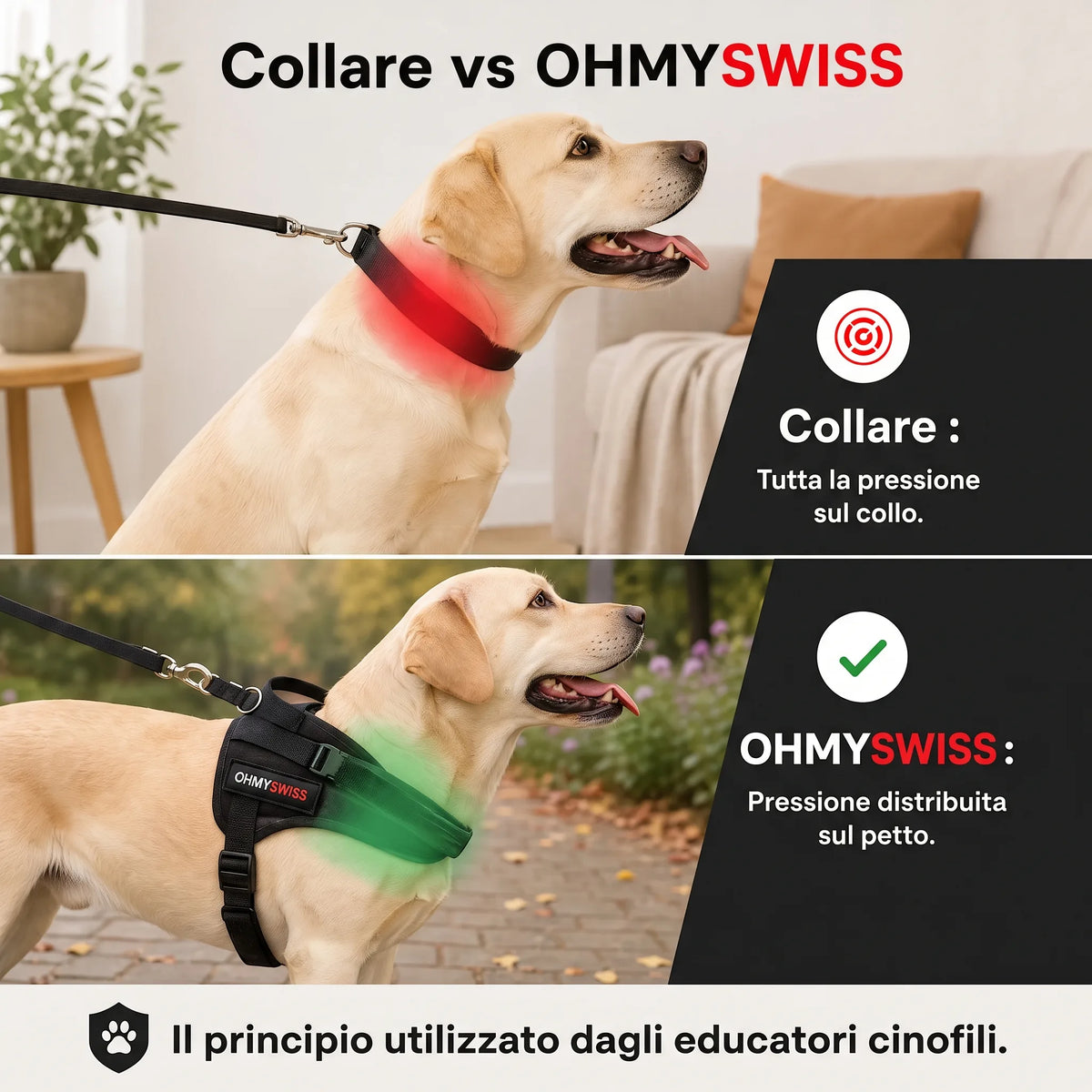 Anti-Zug-Halsband „Comfort+“ von OHMYSWISS