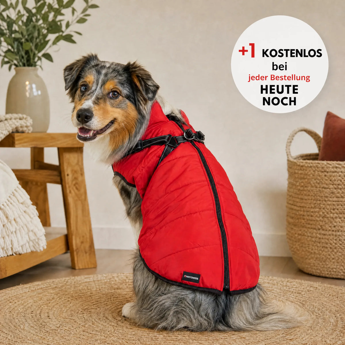 Cappotto per cani 3 in 1 impermeabile con pettorina integrata OHMYSWISS