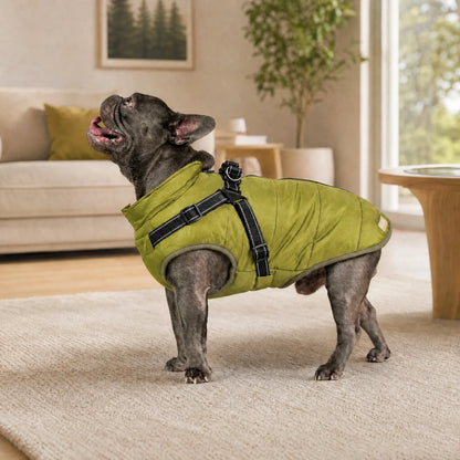 Wasserdichter 3-in-1-Hundemantel mit integriertem Geschirr von OHMYSWISS
