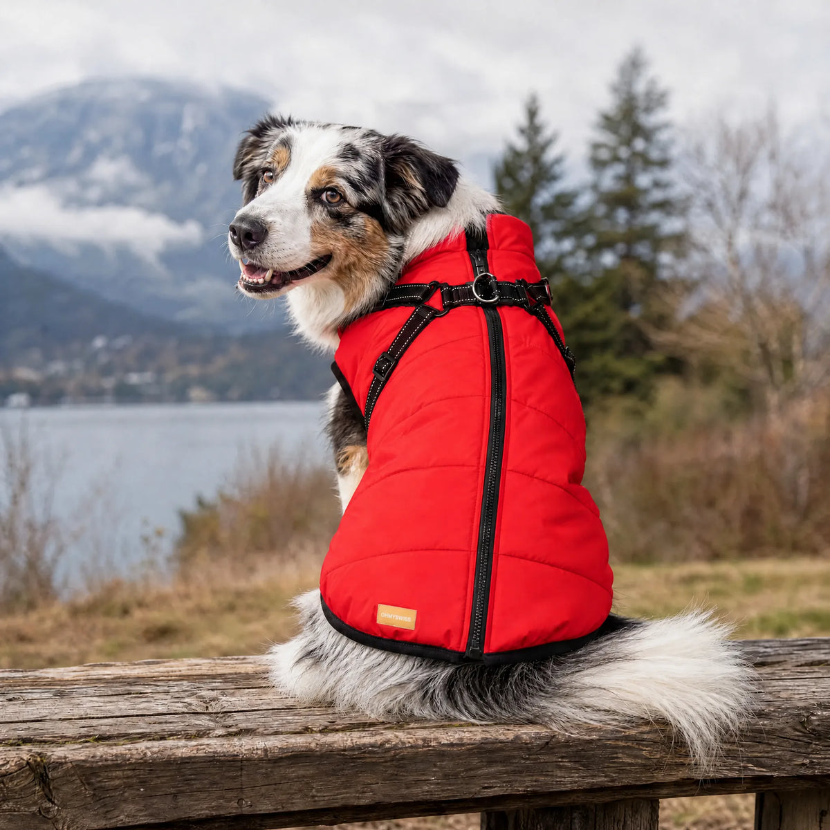 Wasserdichter 3-in-1-Hundemantel mit integriertem Geschirr von OHMYSWISS