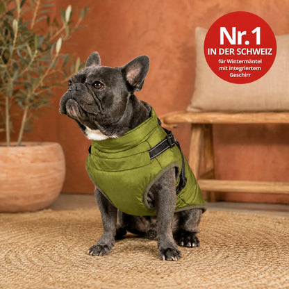 Cappotto per cani 3 in 1 impermeabile con pettorina integrata OHMYSWISS