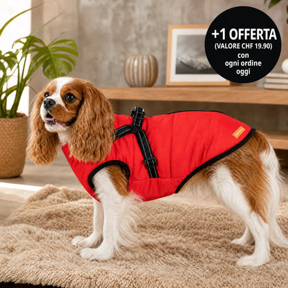 Wasserdichter 3-in-1-Hundemantel mit integriertem Geschirr von OHMYSWISS